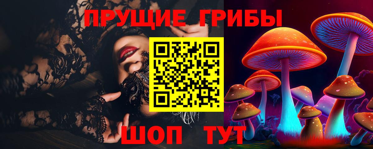 Псилоцибиновые грибы Psilocybine cubensis Сосновый Бор
