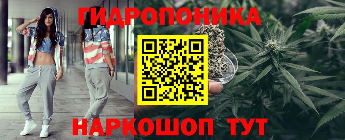Сосновый Бор  Канабис тримм  Вход с VPN  Шишки марихуана планчик  Канабис Bruce Banner  Марихуана LSD WEED 
